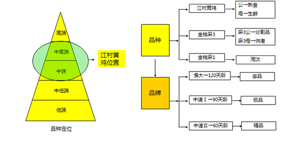 PG电子·(试玩)游戏官网入口 -pgsoft-games